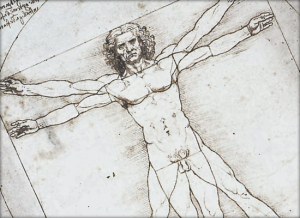 Leonardo Da Vinci's Vitruvian Man and the Golden Ratio