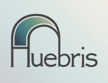 Huebris Logo Design and Branding